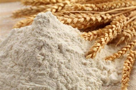 精制小麦粉是什么面粉
