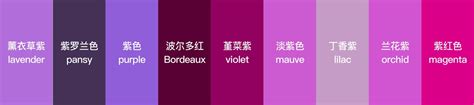紫的名字含义是什么