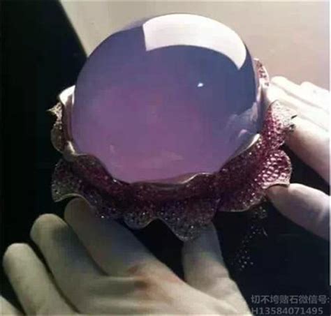 紫罗兰 玻璃种