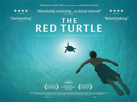 红海龟电影深度解析