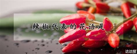 红辣椒的寓意和象征