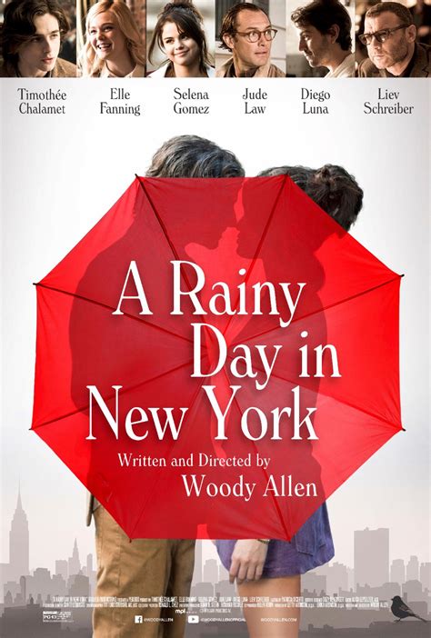 纽约的一个雨天在线观看完整版