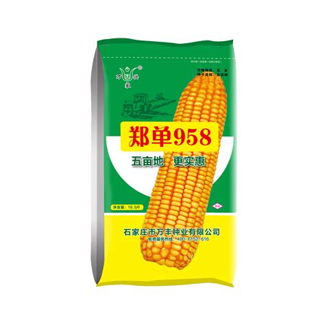 给玉米种子公司起名字
