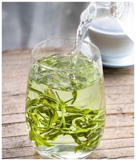 绿茶用什么茶具泡