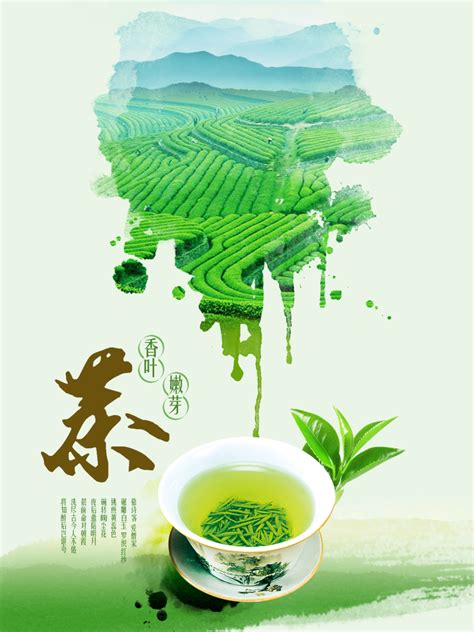 绿茶软文营销方案