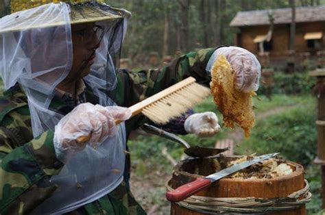 网上卖蜂蜜提高销售量