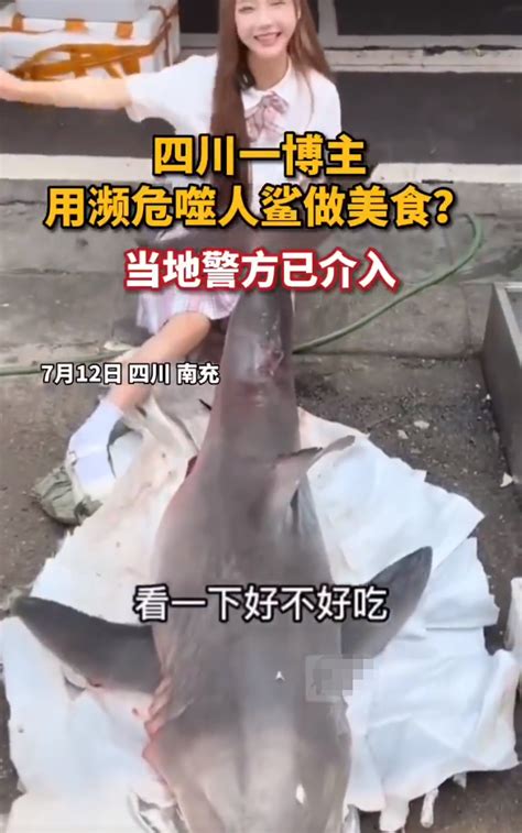 网红烹食濒危大白鲨平台责任