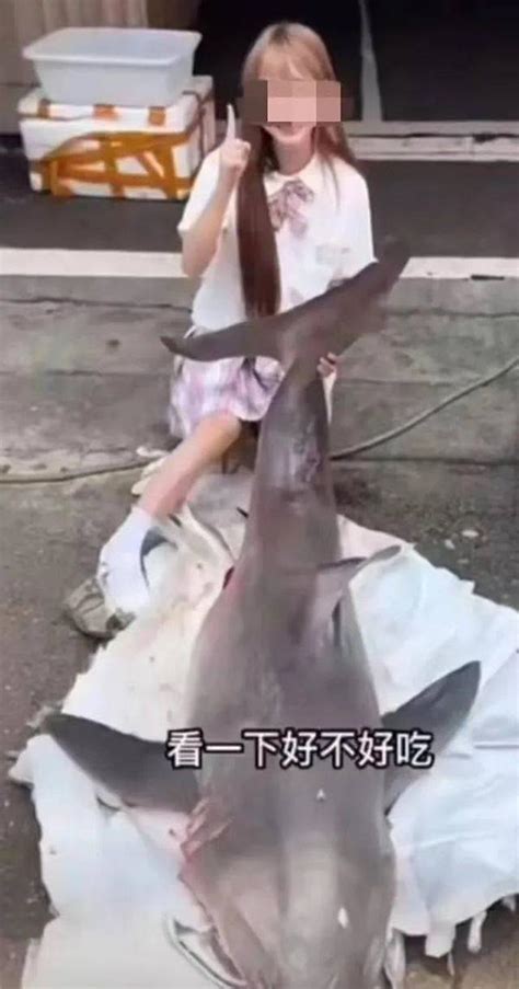 网红美食博主疑烹食噬人鲨遭举报