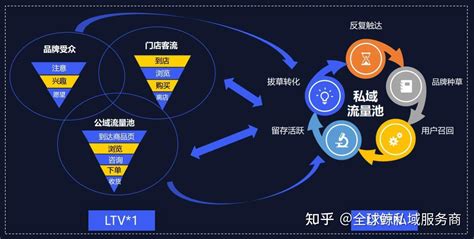 网络seo推广机构引流方案怎么写