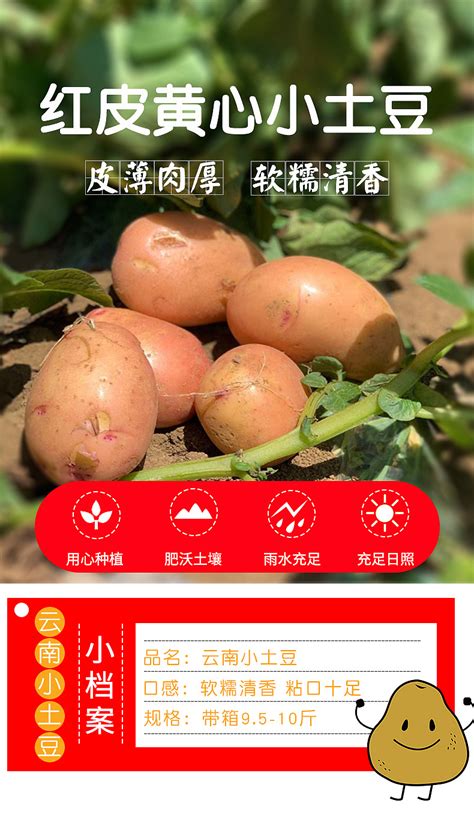 网页版土豆