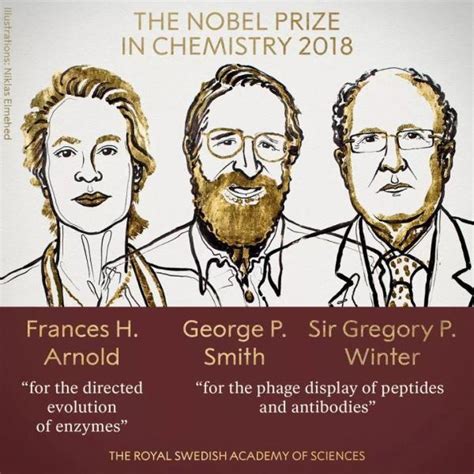 美国化学家两次获得诺贝尔奖