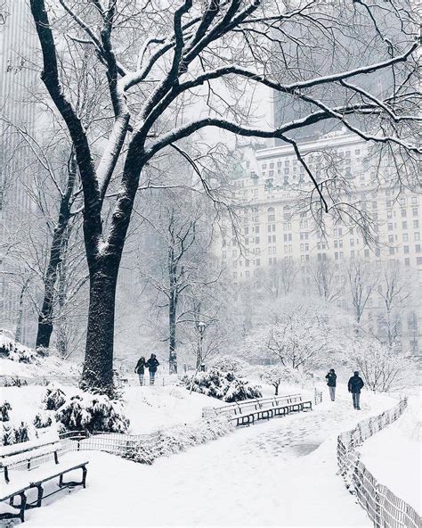 美国纽约雪景画面
