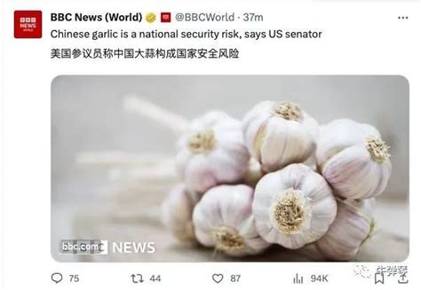 美议员称中国大蒜构成国家安全风险视频