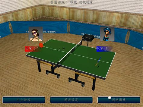 职业乒乓球游戏单机中文版