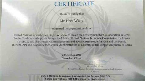联合国志愿者官网证书