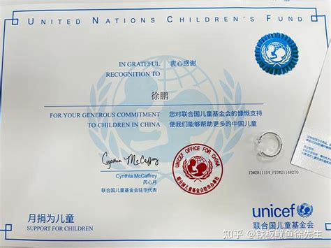 联合国有哪些证书可以获得