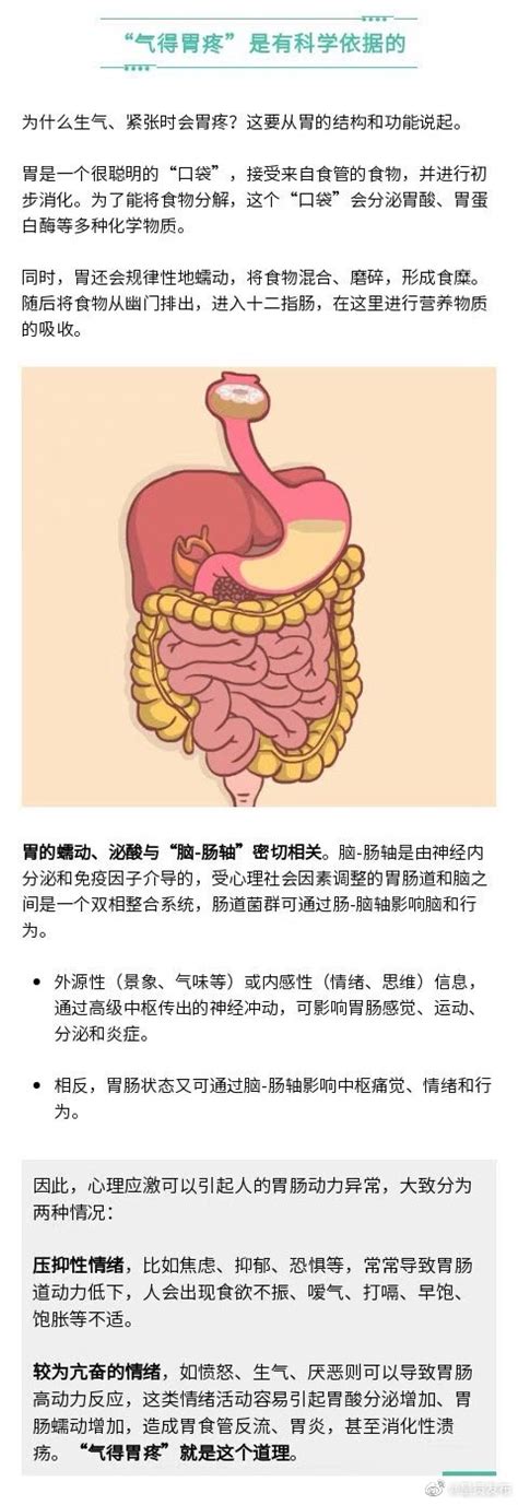 胃是能表现情绪的器官