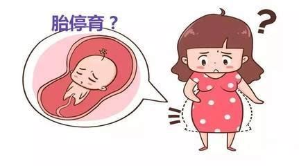 胎停育可能出现在多久之前