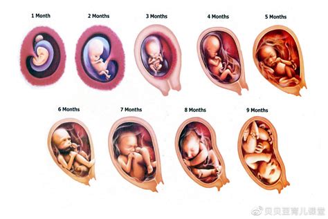 胎儿入盆的感觉和症状