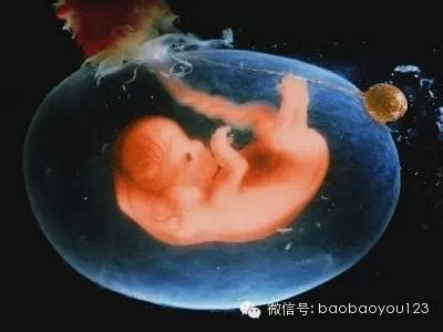 胎儿33周死胎什么原因