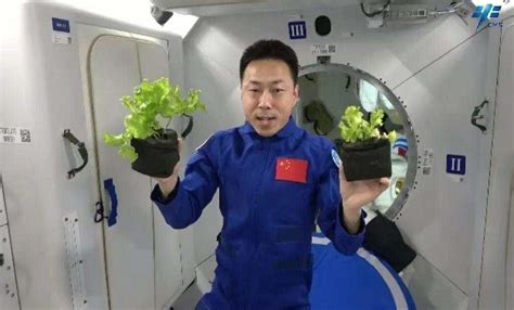 航天员品尝太空菜园蔬菜