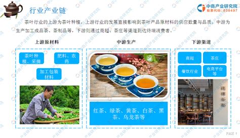 茶产业互联网创业项目