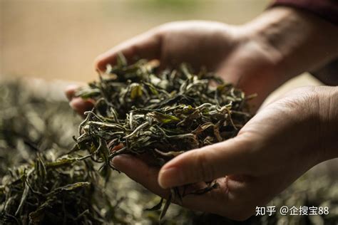 茶叶公司取名华开头