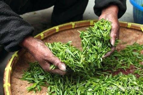 茶叶行业如何推广好的产品