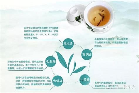 茶的功效以及对健康的影响