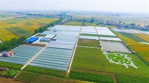 荆州农业行业平台