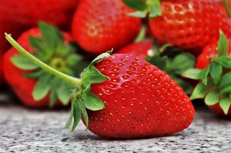 草莓连续五年被评为最脏水果