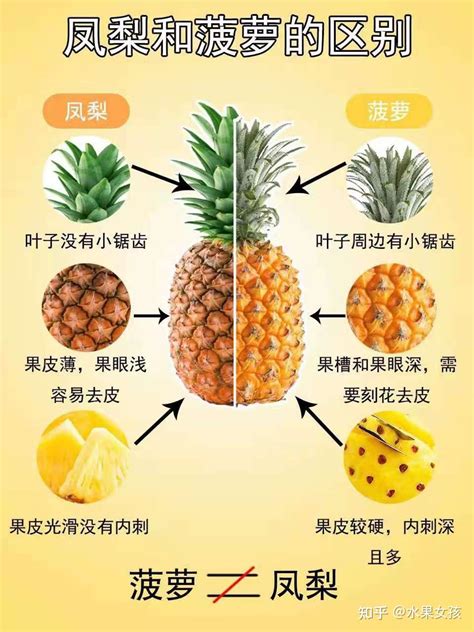 菠萝和凤梨有什么差别吗