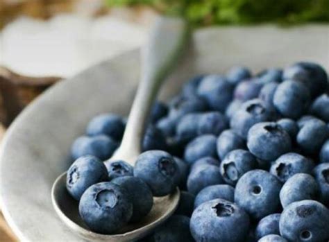 蓝莓如何清洗才能放心吃