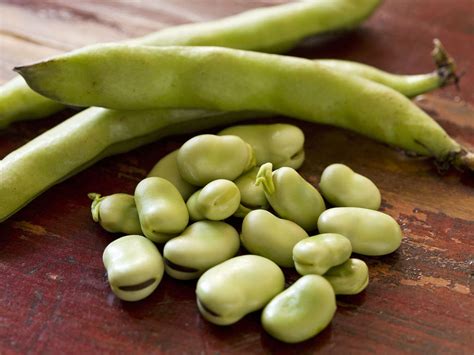 蚕豆怎样种植与管理