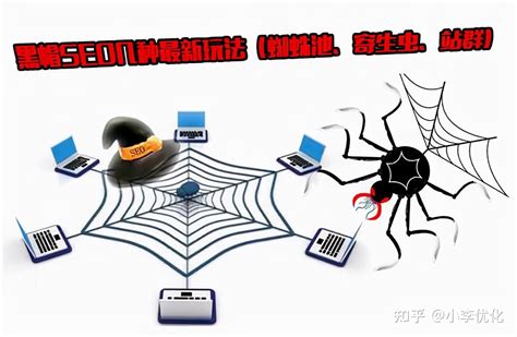 蜘蛛池等黑帽seo软件还有用吗