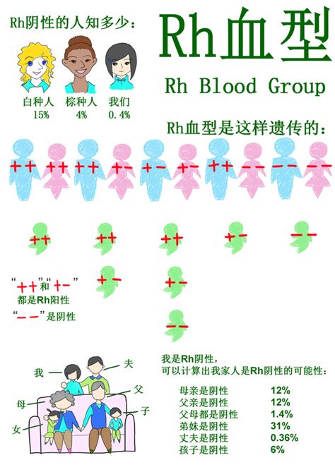 血型o型rh阳性是什么意思