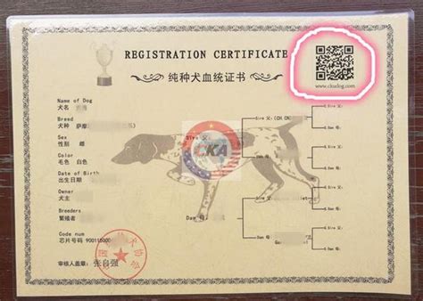 怎么查询国外血统证书图片