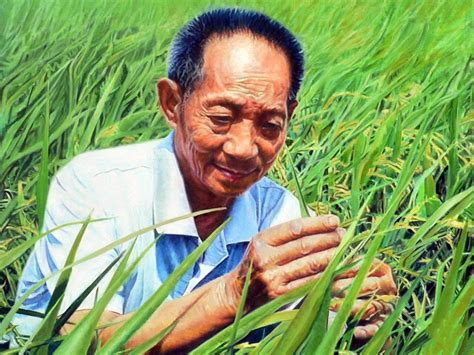 袁隆平发明水稻的故事