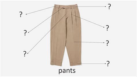 裤子英语怎么读pants