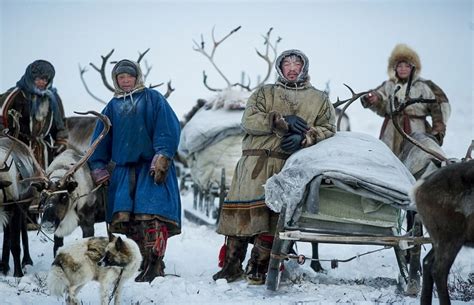 西伯利亚的人过游牧生活吗