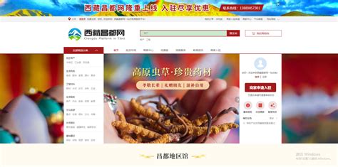 西藏优势企业网站开发