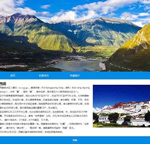 西藏网站设计案例