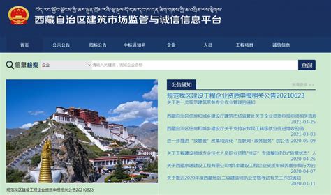 西藏自治区一体化平台网址