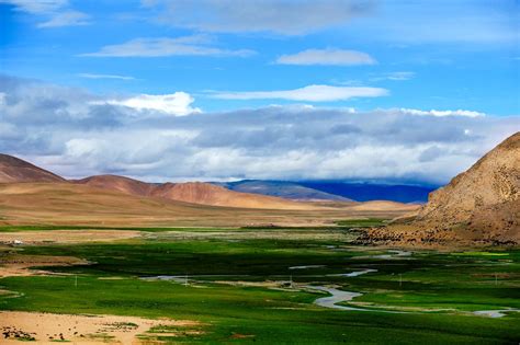 西藏阿里地区4名游客阳性