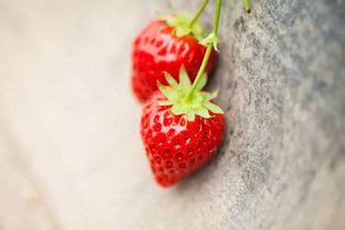 解梦梦见自己摘草莓