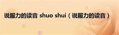 说服力是shuo还是shui