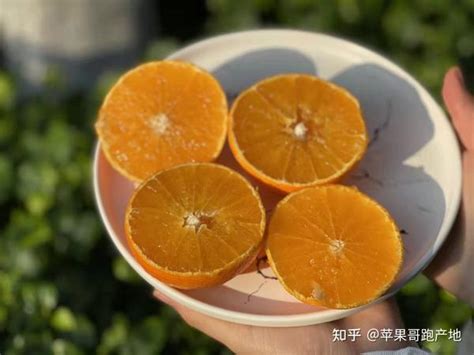象山晴姬柑橘多少钱一斤