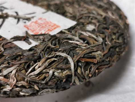 贡茶是什么茶呢