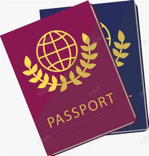 贵州出国护照模板