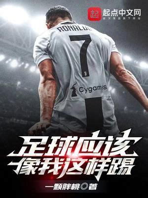 足球小说中国人